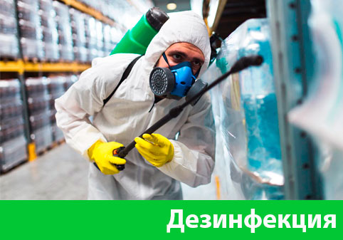 Дезинфекция в городе Мелеуз