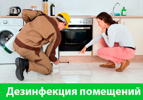 Дезинфекция офисов от коронавируса в городе Мелеуз