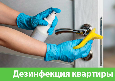Дезинфекция квартиры в городе Мелеуз