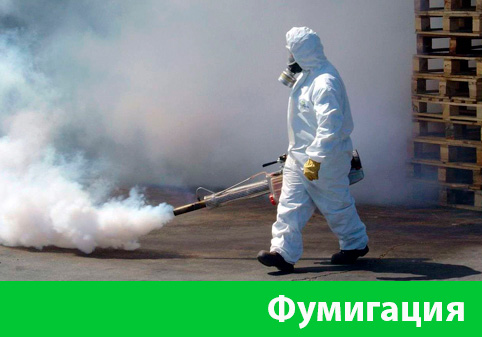 Фумигация в городе Мелеуз