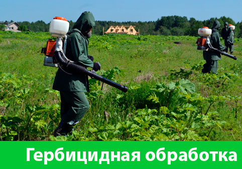 Гербицидная обработка в городе Мелеуз
