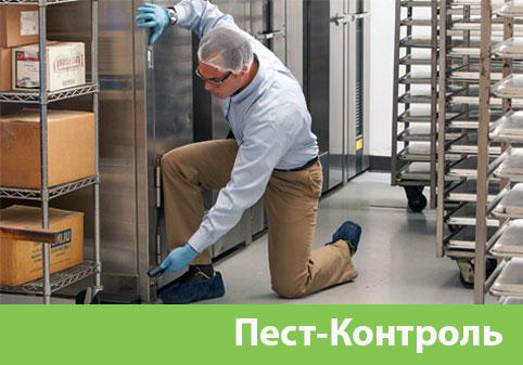 Пэст-Контроль в городе Мелеуз