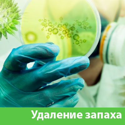 Удаление запахов в Мелеузе