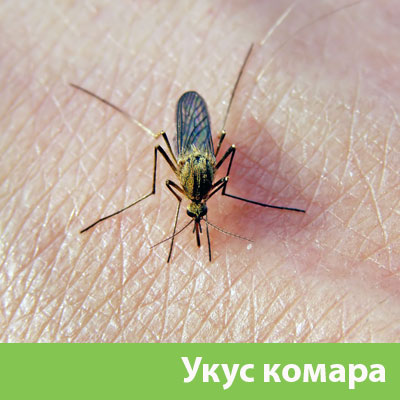 Укусы комаров в Мелеузе