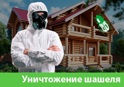 Уничтожение шашеля и личинок в Мелеузе