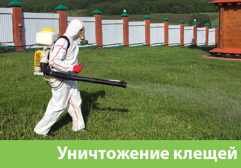 Уничтожение клещей в городе Мелеуз
