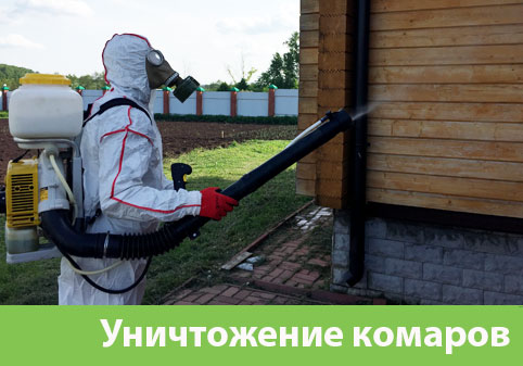 Уничтожение комаров в городе Мелеуз